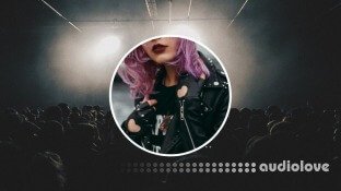 Udemy Branding for Music Artists: The Fan Magnet
