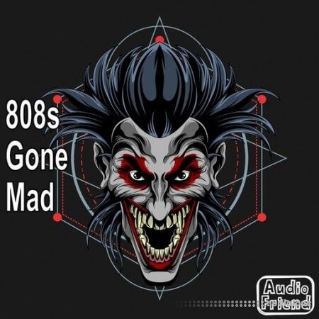 AudioFriend 808s Gone Mad