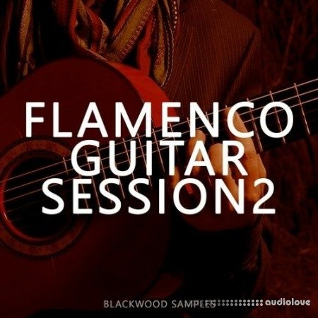 Blackwood Samples Flamenco Guitar Session 2