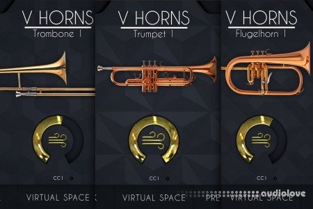 Acousticsamples VHorns Brass Section Falcon