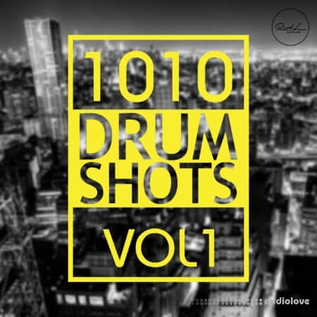 Roundel Sounds 1010 Drum Shots Vol.1 WAV