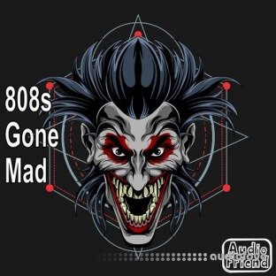 AudioFriend 808s Gone Mad