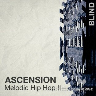Blind Audio Ascension Melodic Hip Hop 2