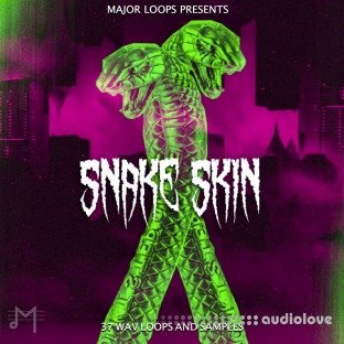 Major Loops Snake Skin