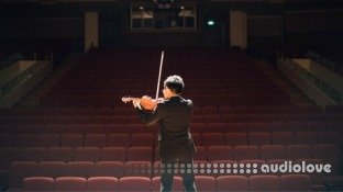 Udemy Beginner Violin Course From Complete Beginner To A Master