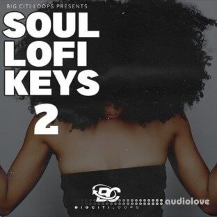 Big Citi Loops Soul Lofi Keys 2
