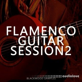 Blackwood Samples Flamenco Guitar Session 2