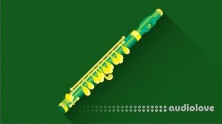 Udemy Learn to Play the Flute: Beginner Basics to Intermediate