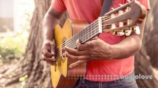 Udemy Acoustic Guitar Crash Course For Beginners