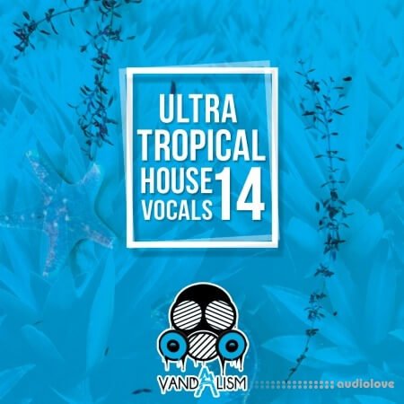 Vandalism Ultra Tropical House Vocals 14