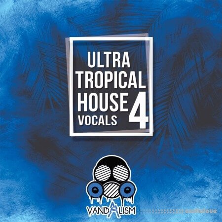 Vandalism Ultra Tropical House Vocals 4 WAV MiDi