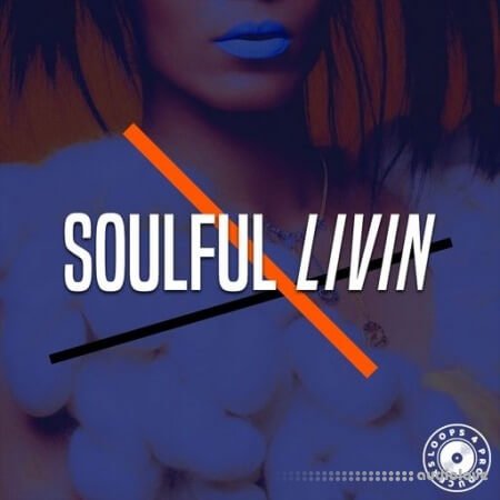 Loops 4 Producers Soulful Livin