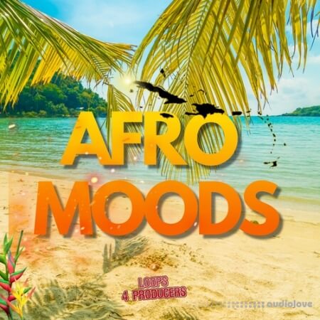 Loops 4 Producers Afro Moods