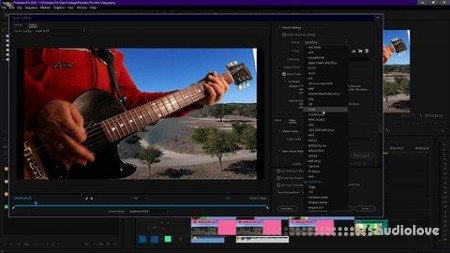 Udemy Premiere Pro Introductory Course TUTORiAL