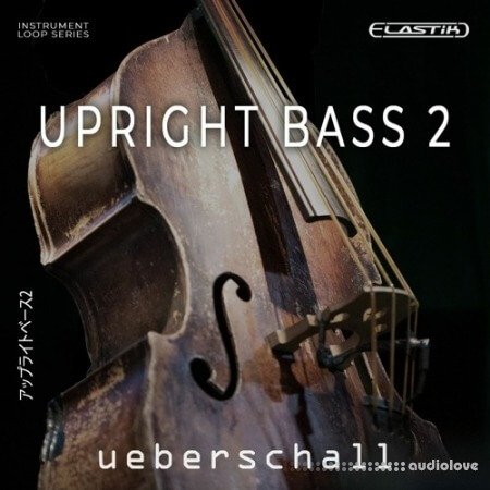 Ueberschall Upright Bass 2 Elastik