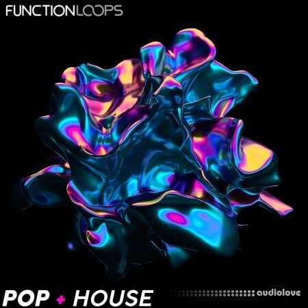Function Loops Pop + House