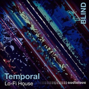 Blind Audio Temporal LoFi House