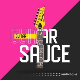 DiyMusicBiz Guitar Sauce 4