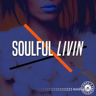Loops 4 Producers Soulful Livin