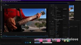 Udemy Premiere Pro Introductory Course