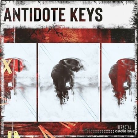 BFractal Music Antidote Keys WAV