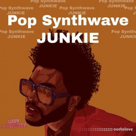 Loops 4 Producers Pop Synthwave Junkies