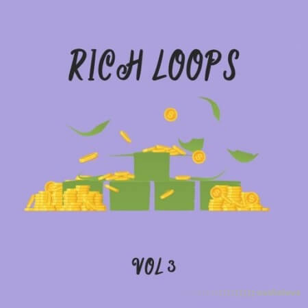 DiyMusicBiz Rich Loop Vol.3 WAV