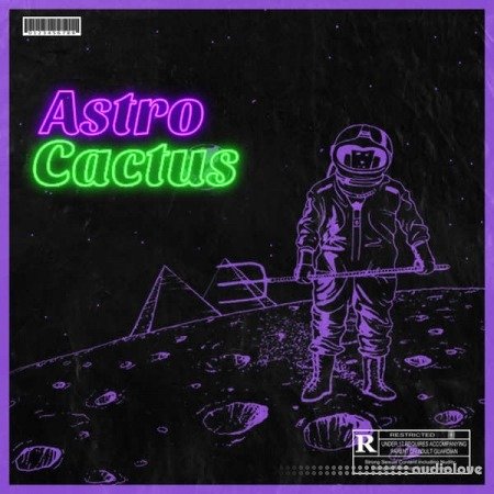 Major Loops Astro Cactus WAV
