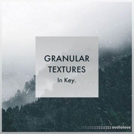 Whitenoise Records Granular Textures In Key