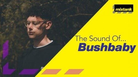 Mixtank.tv The Sound Of Bushbaby TUTORiAL