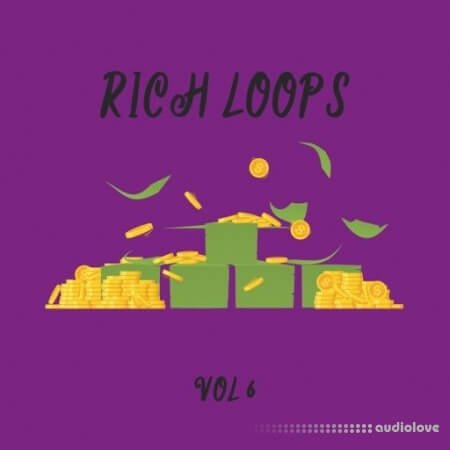 DiyMusicBiz Rich Loop Vol.6 WAV