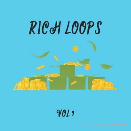 DiyMusicBiz Rich Loop Vol.9