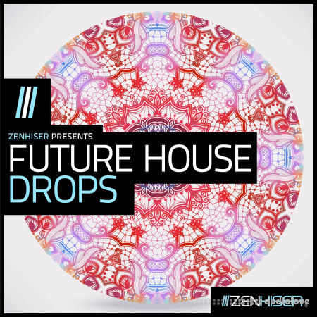 Zenhiser Future House Drops