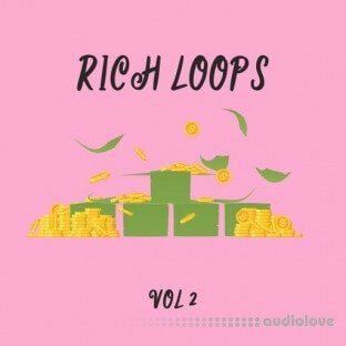 DiyMusicBiz Rich Loop Vol.2