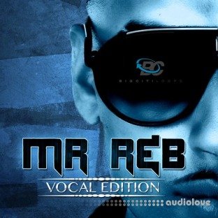 Big Citi Loops Mr. RnB Vocal Edition
