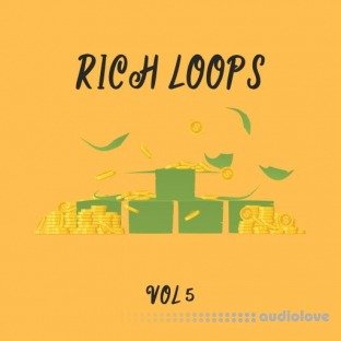 DiyMusicBiz Rich Loop Vol.5