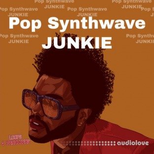 Loops 4 Producers Pop Synthwave Junkies