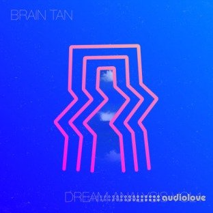 RARE Percussion Brain Tan Dream Analysis Vol.1