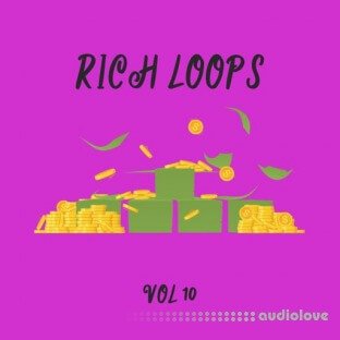 DiyMusicBiz Rich Loop Vol.10