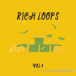 DiyMusicBiz Rich Loop Vol.8