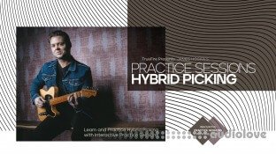 Truefire James Hogan's Practice Sessions: Hybrid Picking