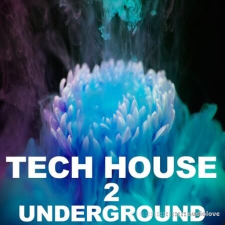 Beatrising Tech House Underground 2 WAV