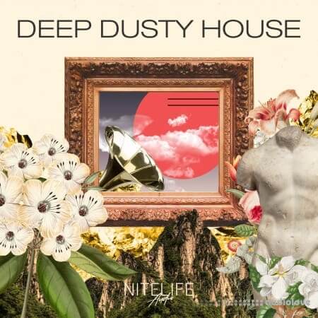 NITELIFE Audio Deep Dusty House