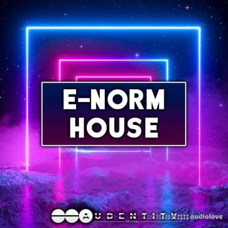 Audentity Records E-Norm House WAV Synth Presets