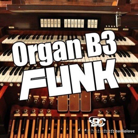 Big Citi Loops Organ B3 Funk WAV