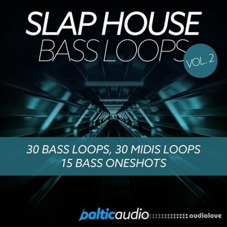 Baltic Audio Slap House Bass Loops Vol.2