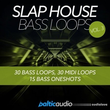 Baltic Audio Slap House Bass Loops Vol.3
