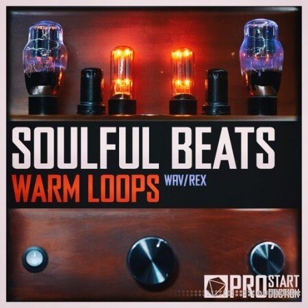 Beatrising Soulful Beats Warm Loops