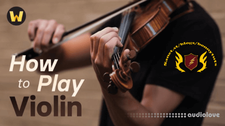 TTC How to Play the Violin