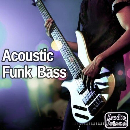 AudioFriend Acoustic Funk Bass